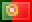 pt – distribution partner